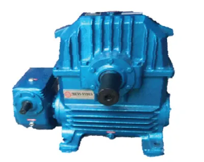 Worm Reduction Drive